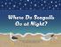 Where Do Seagulls Go at Night?