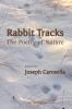 Rabbit Tracks