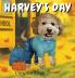 Harvey's Day