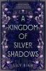 A Kingdom of Silver Shadows