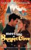 Meet Me at Sunset Cove