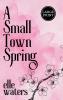 A Small Town Spring