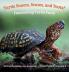 Turtle Snoots Scutes and Toots? Fascinating Turtle Facts