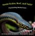 Snake Scales Barf and Tails? Fascinating Snake Facts