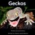 Geckos