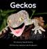 Geckos