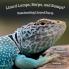 Lizard Lumps Burps and Bumps? Fascinating Lizard Facts