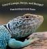 Lizard Lumps Burps and Bumps? Fascinating Lizard Facts