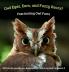 Owl Eyes Ears and Fluffy Rears? Fascinating Owl Facts