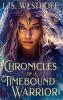 Chronicles Of A Timebound Warrior