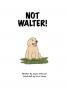 Not Walter