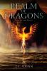 Realm of Dragons