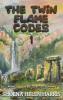 The Twin Flame Codes