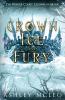 A Crown of Ice and Fury The Winter Court Series Crowns of Magic Universe