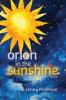 Orion in the Sunshine