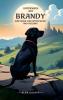 Unterwegs mit Brandy
