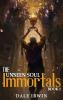 The Unseen Soul Book 1