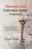 Shattered Land Unbroken Spirit-Palestine
