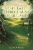The Last Leprechauns of Ireland
