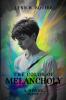 The Color of Melancholy A Novel- Volume 1