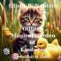 Oliver P. Nooters Oliver's Magical Garden of Kindness