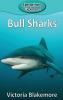 Bull Sharks