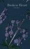 Broken Heart