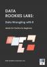 Data Rookies Labs Data Wrangling with R