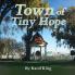 Town of Tiny Hope