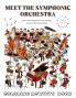 Meet the Symphonic Orchestra Coloring Activity Book