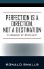 Perfection is a Direction Not a Destination