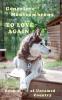 To Love Again