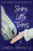 Shiny Little Things