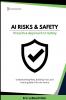 AI RISKS AND SAFETY