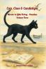 Cats Clues & Candlelight - Omnibus Volume 3