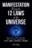 Manifestation Through the 12 Laws of the Universe