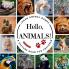 Hello Animals!