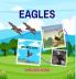Eagles