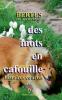 Des mots en cafouille III