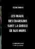 Les maux des chansons sont la gueule de nos murs