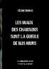 Les maux des chansons sont la gueule de nos murs