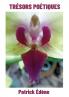 Trésors poétiques