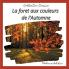 La forêt aux couleurs de l'Automne