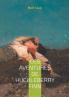 Les Aventures de Huckleberry Finn
