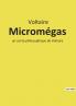 Micromégas