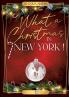 What a christmas in New York