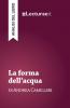 La forma dell'acqua - Andrea Camilleri (analisi del libro)