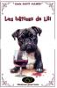 Les bêtises de Lili