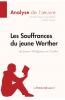 Les Souffrances du jeune Werther de Goethe (Analyse de l'��uvre)