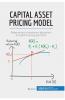 Capital Asset Pricing Model